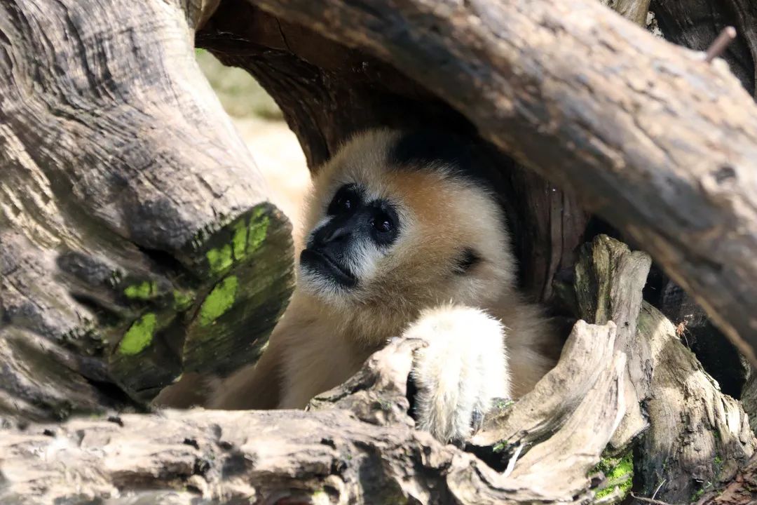 【寻美云南·昆明·盘龙】哎呀!盘龙区的道路名CP有点好嗑啊~休闲区蓝鸢梦想 - Www.slyday.coM 【寻美云南·昆明·盘龙】哎呀!盘龙区的道路名CP有点好嗑啊~休闲区蓝鸢梦想 - Www.slyday.coM
