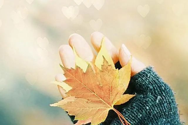 喜欢打听别人这几件私事的人,往往心眼很坏,不管是谁都别深交休闲区蓝鸢梦想 - Www.slyday.coM 喜欢打听别人这几件私事的人,往往心眼很坏,不管是谁都别深交休闲区蓝鸢梦想 - Www.slyday.coM