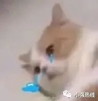 yue了!污水反涌入屋半个月,出入成难题?佛山这个小区业主很“苦恼”,原因竟是...休闲区蓝鸢梦想 - Www.slyday.coM yue了!污水反涌入屋半个月,出入成难题?佛山这个小区业主很“苦恼”,原因竟是...休闲区蓝鸢梦想 - Www.slyday.coM