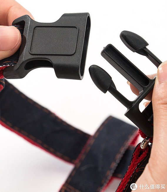 铲屎官的国庆假期,遇上口罩问题,我们就地过节,就是只能带着狗子在周边玩玩了休闲区蓝鸢梦想 - Www.slyday.coM 铲屎官的国庆假期,遇上口罩问题,我们就地过节,就是只能带着狗子在周边玩玩了休闲区蓝鸢梦想 - Www.slyday.coM