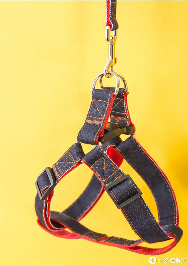 铲屎官的国庆假期,遇上口罩问题,我们就地过节,就是只能带着狗子在周边玩玩了休闲区蓝鸢梦想 - Www.slyday.coM 铲屎官的国庆假期,遇上口罩问题,我们就地过节,就是只能带着狗子在周边玩玩了休闲区蓝鸢梦想 - Www.slyday.coM