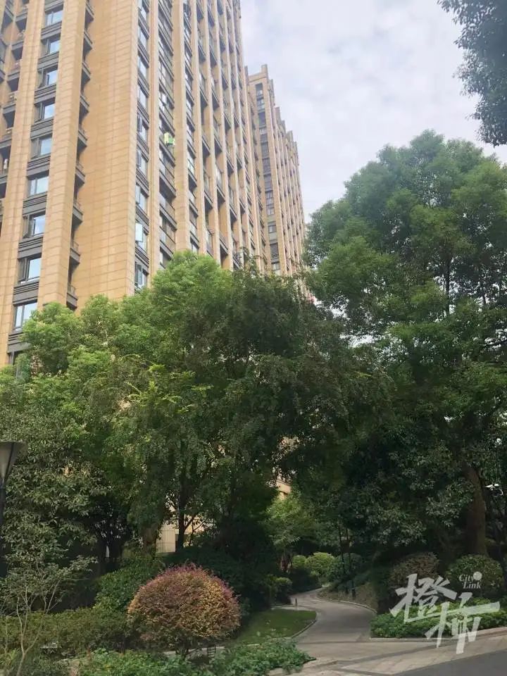 天上掉下一只哈士奇,砸伤两人紧急送医!有人说看了监控是从24楼掉下?休闲区蓝鸢梦想 - Www.slyday.coM 天上掉下一只哈士奇,砸伤两人紧急送医!有人说看了监控是从24楼掉下?休闲区蓝鸢梦想 - Www.slyday.coM