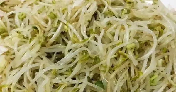 这是“菜中人参”!70%的人以为这菜没营养,殊不知它辅助降压补血!还被称为“活体蔬菜”休闲区蓝鸢梦想 - Www.slyday.coM 这是“菜中人参”!70%的人以为这菜没营养,殊不知它辅助降压补血!还被称为“活体蔬菜”休闲区蓝鸢梦想 - Www.slyday.coM