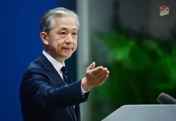 汪文斌 圖源:外交部網站