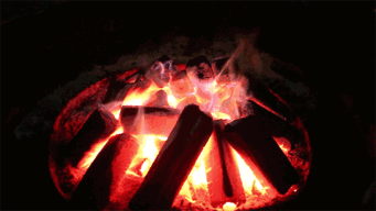 妈!我的美国大学塌房了!!!休闲区蓝鸢梦想 - Www.slyday.coM 妈!我的美国大学塌房了!!!休闲区蓝鸢梦想 - Www.slyday.coM