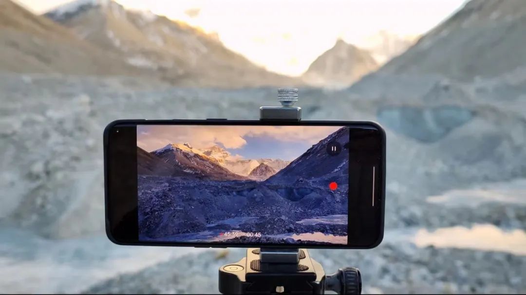 中国特有物种,可不止大熊猫!休闲区蓝鸢梦想 - Www.slyday.coM 中国特有物种,可不止大熊猫!休闲区蓝鸢梦想 - Www.slyday.coM