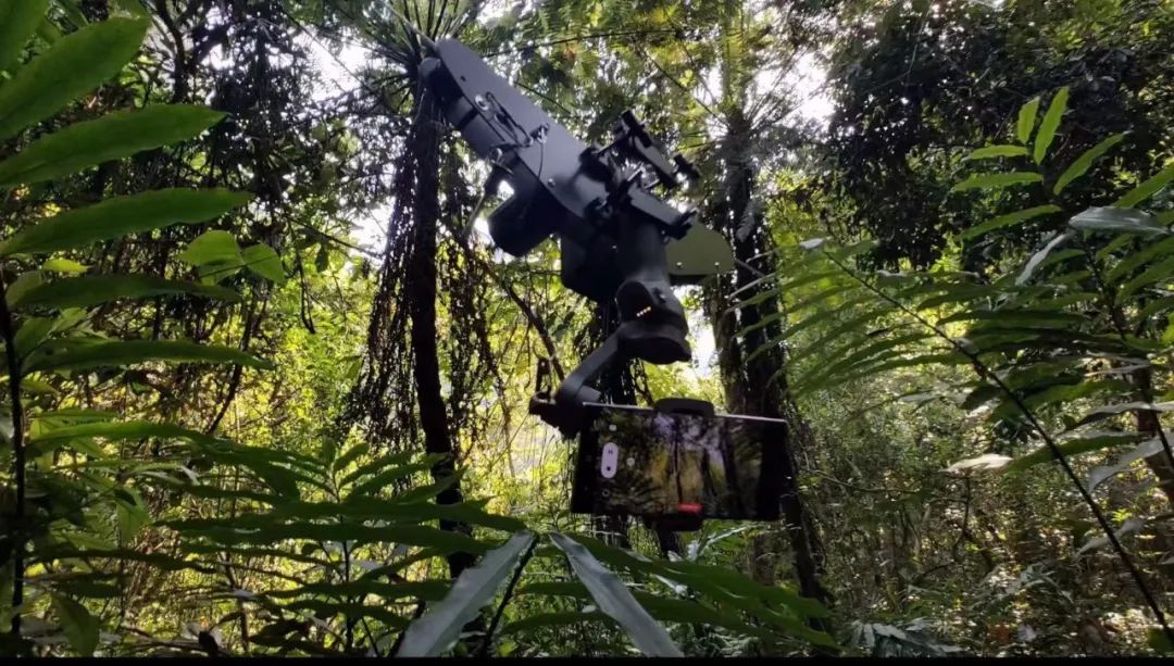 中国特有物种,可不止大熊猫!休闲区蓝鸢梦想 - Www.slyday.coM 中国特有物种,可不止大熊猫!休闲区蓝鸢梦想 - Www.slyday.coM