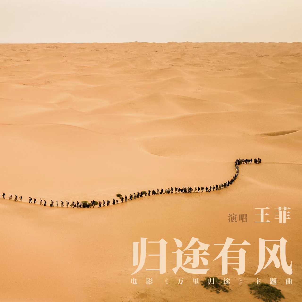 王菲献唱《万里归途》主题曲《归途有风》,回家路上的故事,路知道,风知道休闲区蓝鸢梦想 - Www.slyday.coM 王菲献唱《万里归途》主题曲《归途有风》,回家路上的故事,路知道,风知道休闲区蓝鸢梦想 - Www.slyday.coM