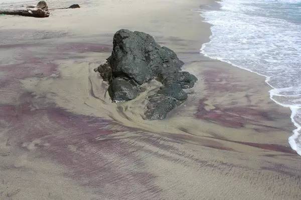 【地理素养】沙漠和海滩都是沙子,但却有不同的韵味,世界上最美的12种颜色的沙滩,你爱哪一种?附我国和印度沙漠治理的对比休闲区蓝鸢梦想 - Www.slyday.coM 【地理素养】沙漠和海滩都是沙子,但却有不同的韵味,世界上最美的12种颜色的沙滩,你爱哪一种?附我国和印度沙漠治理的对比休闲区蓝鸢梦想 - Www.slyday.coM