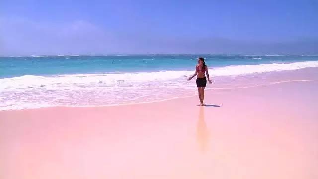 【地理素养】沙漠和海滩都是沙子,但却有不同的韵味,世界上最美的12种颜色的沙滩,你爱哪一种?附我国和印度沙漠治理的对比休闲区蓝鸢梦想 - Www.slyday.coM 【地理素养】沙漠和海滩都是沙子,但却有不同的韵味,世界上最美的12种颜色的沙滩,你爱哪一种?附我国和印度沙漠治理的对比休闲区蓝鸢梦想 - Www.slyday.coM