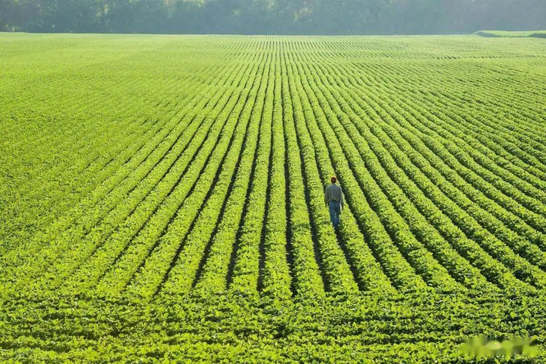 【地理素养】沙漠和海滩都是沙子,但却有不同的韵味,世界上最美的12种颜色的沙滩,你爱哪一种?附我国和印度沙漠治理的对比休闲区蓝鸢梦想 - Www.slyday.coM 【地理素养】沙漠和海滩都是沙子,但却有不同的韵味,世界上最美的12种颜色的沙滩,你爱哪一种?附我国和印度沙漠治理的对比休闲区蓝鸢梦想 - Www.slyday.coM