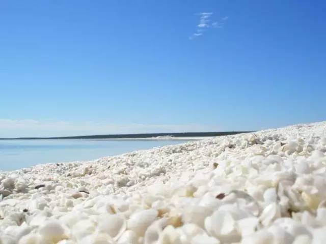 【地理素养】沙漠和海滩都是沙子,但却有不同的韵味,世界上最美的12种颜色的沙滩,你爱哪一种?附我国和印度沙漠治理的对比休闲区蓝鸢梦想 - Www.slyday.coM 【地理素养】沙漠和海滩都是沙子,但却有不同的韵味,世界上最美的12种颜色的沙滩,你爱哪一种?附我国和印度沙漠治理的对比休闲区蓝鸢梦想 - Www.slyday.coM