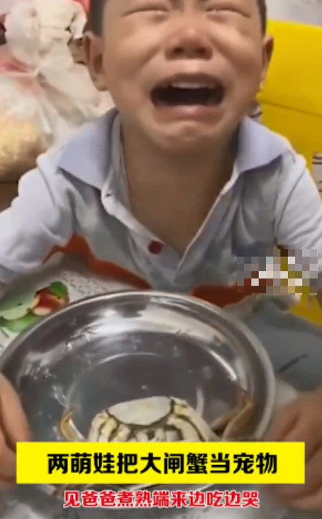 “不就是吃了你的宠物,至于哭成这样吗?”休闲区蓝鸢梦想 - Www.slyday.coM “不就是吃了你的宠物,至于哭成这样吗?”休闲区蓝鸢梦想 - Www.slyday.coM