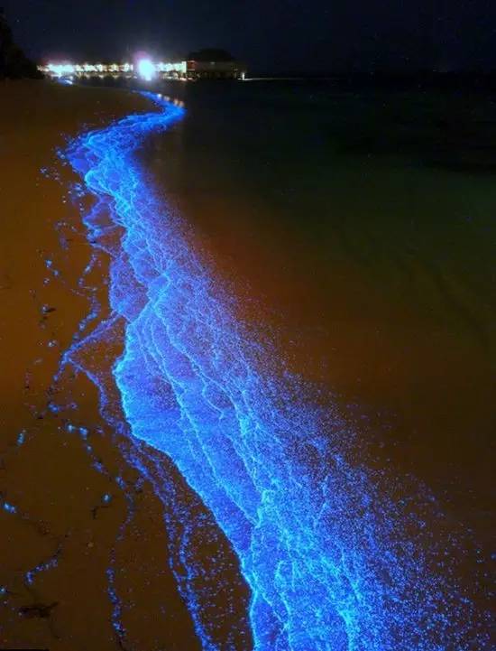 【地理素养】沙漠和海滩都是沙子,但却有不同的韵味,世界上最美的12种颜色的沙滩,你爱哪一种?附我国和印度沙漠治理的对比休闲区蓝鸢梦想 - Www.slyday.coM 【地理素养】沙漠和海滩都是沙子,但却有不同的韵味,世界上最美的12种颜色的沙滩,你爱哪一种?附我国和印度沙漠治理的对比休闲区蓝鸢梦想 - Www.slyday.coM