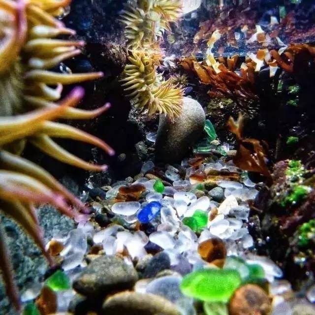 【地理素养】沙漠和海滩都是沙子,但却有不同的韵味,世界上最美的12种颜色的沙滩,你爱哪一种?附我国和印度沙漠治理的对比休闲区蓝鸢梦想 - Www.slyday.coM 【地理素养】沙漠和海滩都是沙子,但却有不同的韵味,世界上最美的12种颜色的沙滩,你爱哪一种?附我国和印度沙漠治理的对比休闲区蓝鸢梦想 - Www.slyday.coM