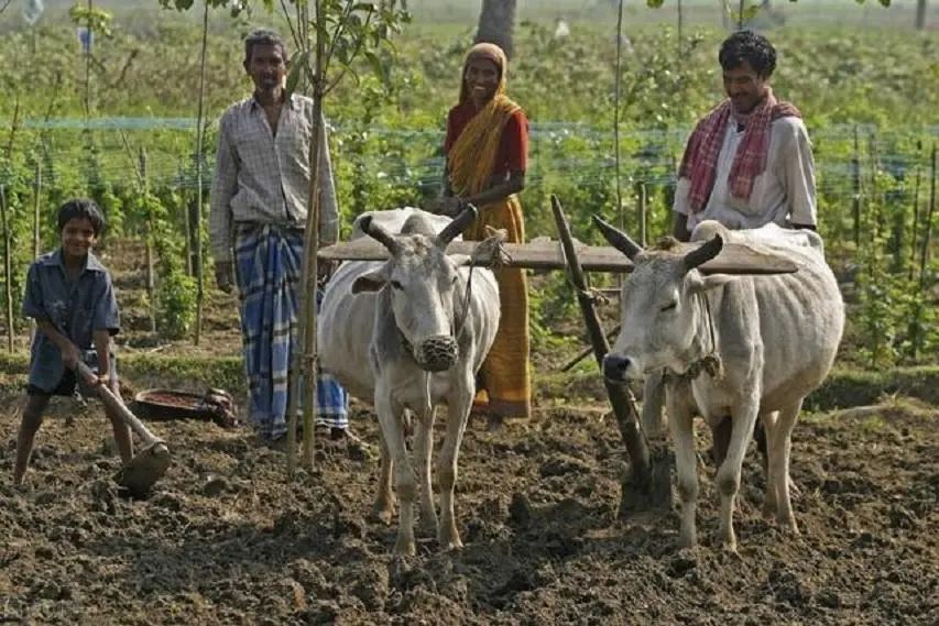 【地理素养】沙漠和海滩都是沙子,但却有不同的韵味,世界上最美的12种颜色的沙滩,你爱哪一种?附我国和印度沙漠治理的对比休闲区蓝鸢梦想 - Www.slyday.coM 【地理素养】沙漠和海滩都是沙子,但却有不同的韵味,世界上最美的12种颜色的沙滩,你爱哪一种?附我国和印度沙漠治理的对比休闲区蓝鸢梦想 - Www.slyday.coM