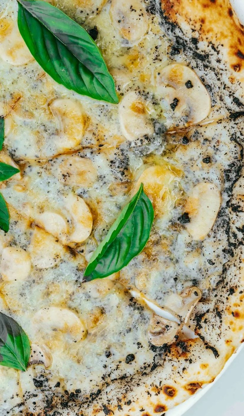 为什么这家帝都爆火餐吧的秋日大餐能让人如此上头?|TO探店休闲区蓝鸢梦想 - Www.slyday.coM 为什么这家帝都爆火餐吧的秋日大餐能让人如此上头?|TO探店休闲区蓝鸢梦想 - Www.slyday.coM