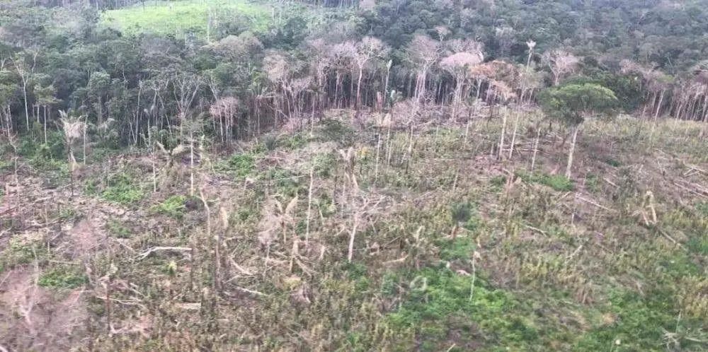 【地理素养】沙漠和海滩都是沙子,但却有不同的韵味,世界上最美的12种颜色的沙滩,你爱哪一种?附我国和印度沙漠治理的对比休闲区蓝鸢梦想 - Www.slyday.coM 【地理素养】沙漠和海滩都是沙子,但却有不同的韵味,世界上最美的12种颜色的沙滩,你爱哪一种?附我国和印度沙漠治理的对比休闲区蓝鸢梦想 - Www.slyday.coM
