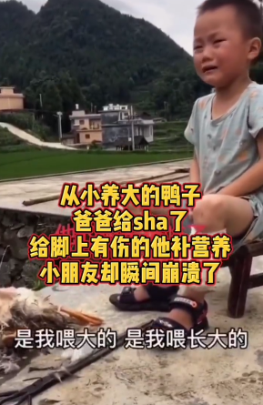 “不就是吃了你的宠物,至于哭成这样吗?”休闲区蓝鸢梦想 - Www.slyday.coM “不就是吃了你的宠物,至于哭成这样吗?”休闲区蓝鸢梦想 - Www.slyday.coM