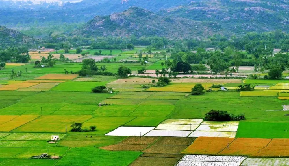 【地理素养】沙漠和海滩都是沙子,但却有不同的韵味,世界上最美的12种颜色的沙滩,你爱哪一种?附我国和印度沙漠治理的对比休闲区蓝鸢梦想 - Www.slyday.coM 【地理素养】沙漠和海滩都是沙子,但却有不同的韵味,世界上最美的12种颜色的沙滩,你爱哪一种?附我国和印度沙漠治理的对比休闲区蓝鸢梦想 - Www.slyday.coM