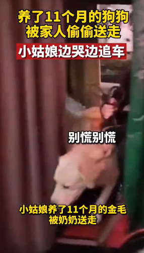 “不就是吃了你的宠物,至于哭成这样吗?”休闲区蓝鸢梦想 - Www.slyday.coM “不就是吃了你的宠物,至于哭成这样吗?”休闲区蓝鸢梦想 - Www.slyday.coM