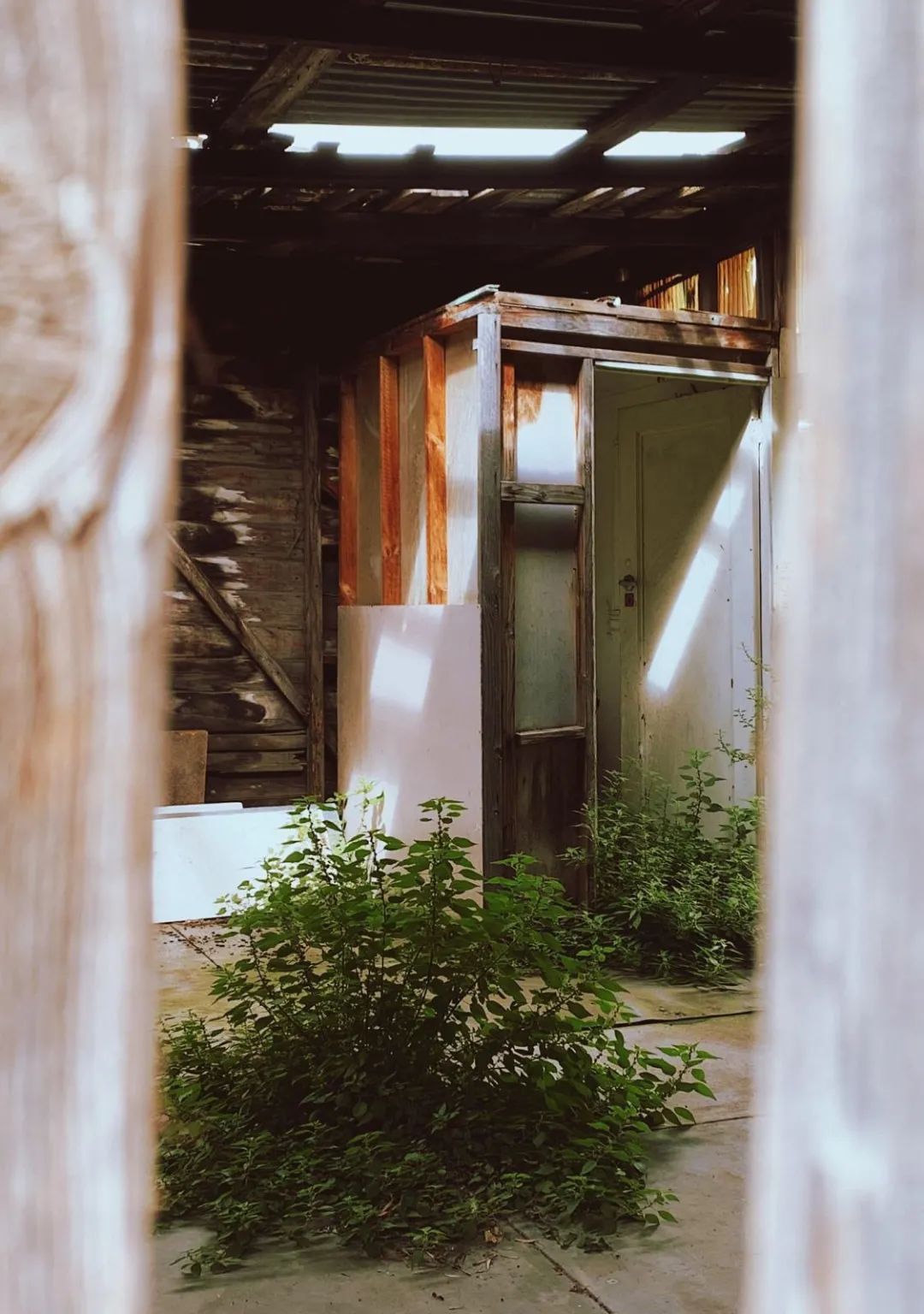 再见,9月休闲区蓝鸢梦想 - Www.slyday.coM 再见,9月休闲区蓝鸢梦想 - Www.slyday.coM