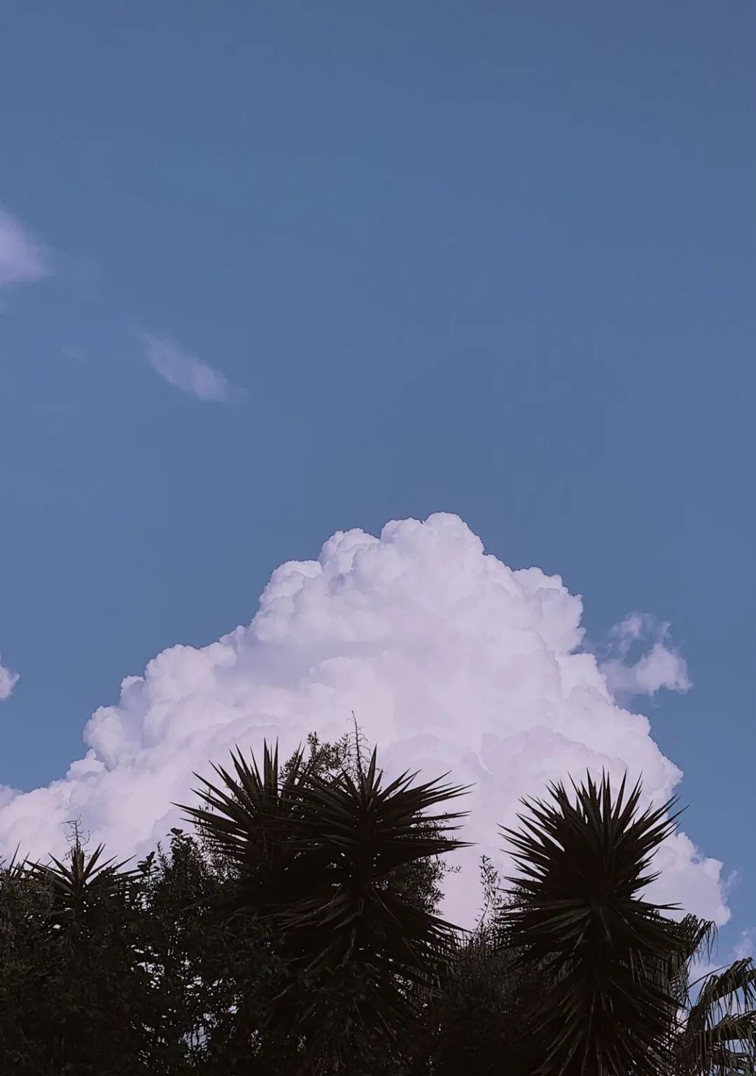 再见,9月休闲区蓝鸢梦想 - Www.slyday.coM 再见,9月休闲区蓝鸢梦想 - Www.slyday.coM