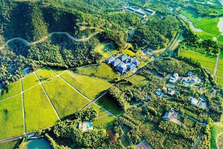 “村企合作”助力乡村振兴 径山竹茶园绘就共同富裕美丽画卷|杭州市|乡村振兴_新浪新闻