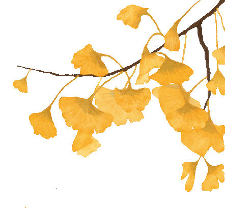 秋收季,你的生命之果成熟了吗?休闲区蓝鸢梦想 - Www.slyday.coM 秋收季,你的生命之果成熟了吗?休闲区蓝鸢梦想 - Www.slyday.coM