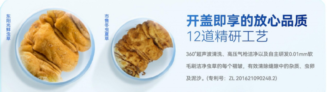 重阳送礼攻略,一份明星同款东阳光鲜虫草送进爸妈心坎里!休闲区蓝鸢梦想 - Www.slyday.coM 重阳送礼攻略,一份明星同款东阳光鲜虫草送进爸妈心坎里!休闲区蓝鸢梦想 - Www.slyday.coM