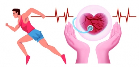 远离心脏“第一杀手”休闲区蓝鸢梦想 - Www.slyday.coM 远离心脏“第一杀手”休闲区蓝鸢梦想 - Www.slyday.coM