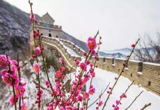 锦绣年票游玩攻略,锦绣年卡全国景点