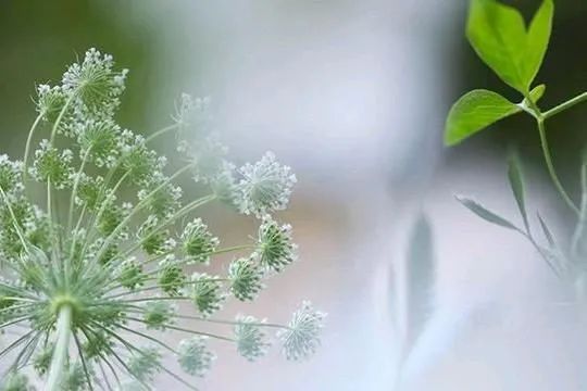 关系再好,也不能送朋友以下几样东西,很容易结仇!休闲区蓝鸢梦想 - Www.slyday.coM 关系再好,也不能送朋友以下几样东西,很容易结仇!休闲区蓝鸢梦想 - Www.slyday.coM