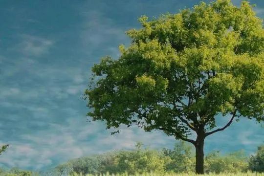 关系再好,也不能送朋友以下几样东西,很容易结仇!休闲区蓝鸢梦想 - Www.slyday.coM 关系再好,也不能送朋友以下几样东西,很容易结仇!休闲区蓝鸢梦想 - Www.slyday.coM