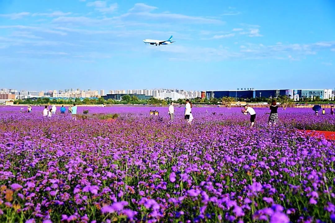 国庆去哪儿玩?兰州新区发布十大宝藏打卡地休闲区蓝鸢梦想 - Www.slyday.coM 国庆去哪儿玩?兰州新区发布十大宝藏打卡地休闲区蓝鸢梦想 - Www.slyday.coM