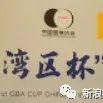2022第2届“湾区杯”中国围棋大棋士赛规程