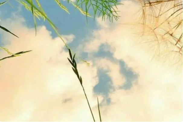 关系再好,也不能送朋友以下几样东西,很容易结仇!休闲区蓝鸢梦想 - Www.slyday.coM 关系再好,也不能送朋友以下几样东西,很容易结仇!休闲区蓝鸢梦想 - Www.slyday.coM