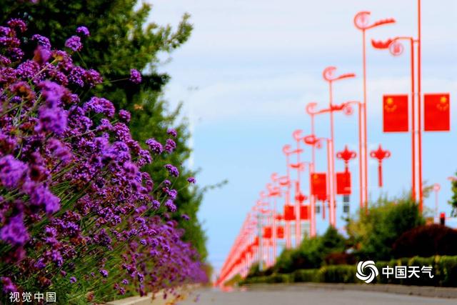 氛围感拉满!国庆节将至 全国各地街头五星红旗迎风招展休闲区蓝鸢梦想 - Www.slyday.coM 氛围感拉满!国庆节将至 全国各地街头五星红旗迎风招展休闲区蓝鸢梦想 - Www.slyday.coM