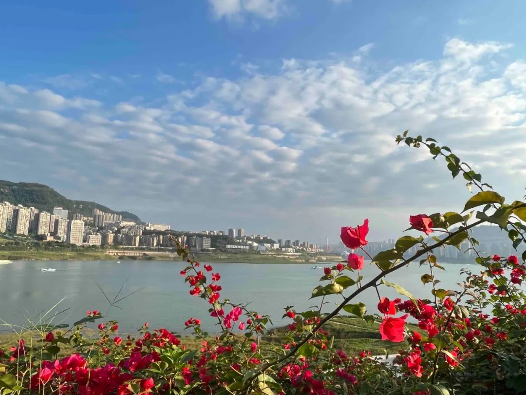 最高31℃!国庆假期天气出炉!还有个重要提醒→休闲区蓝鸢梦想 - Www.slyday.coM 最高31℃!国庆假期天气出炉!还有个重要提醒→休闲区蓝鸢梦想 - Www.slyday.coM