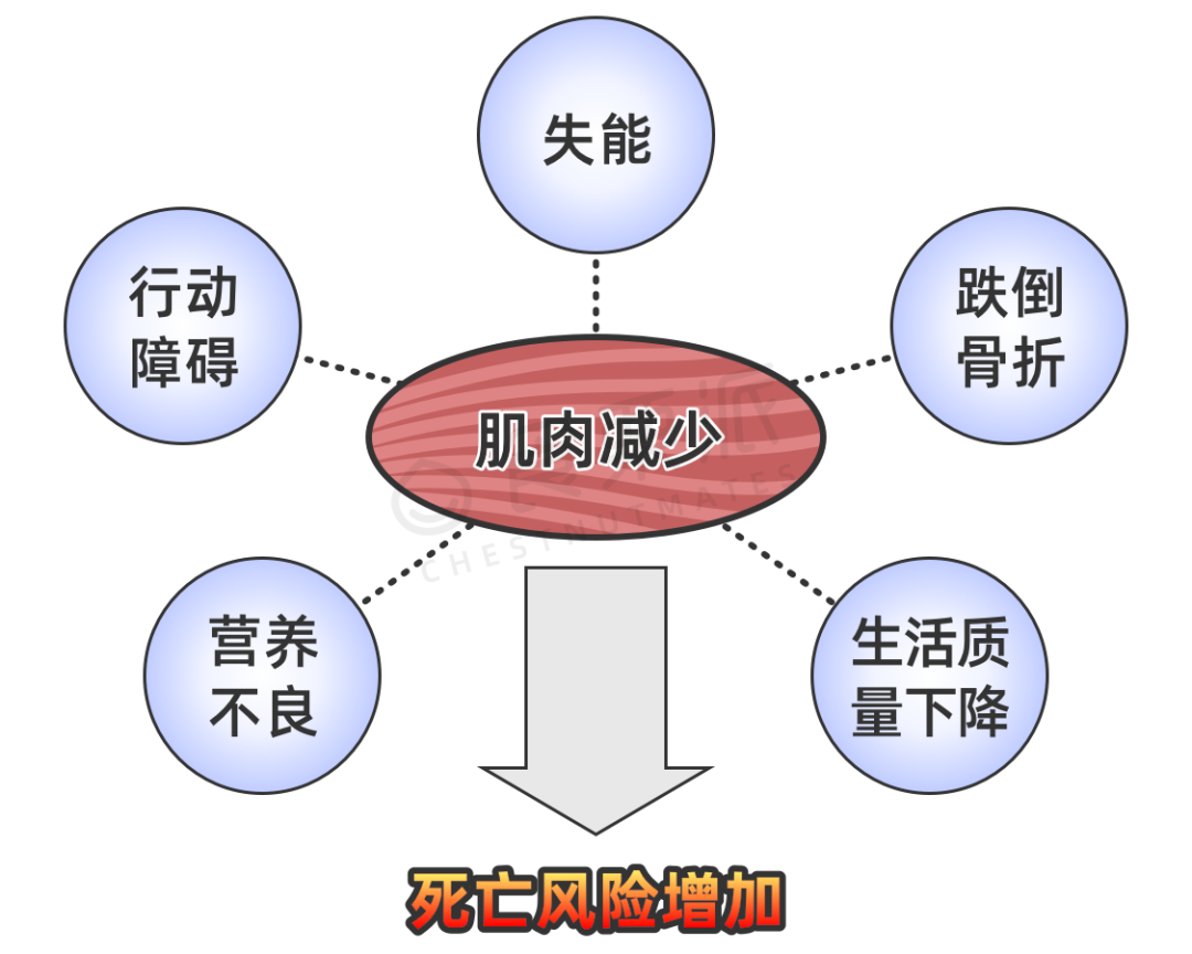 50岁之后的4个饮食要点,快告诉爸妈休闲区蓝鸢梦想 - Www.slyday.coM 50岁之后的4个饮食要点,快告诉爸妈休闲区蓝鸢梦想 - Www.slyday.coM