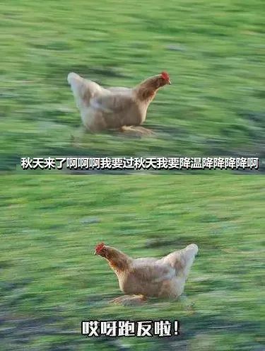 38度→16度!国庆假期杭州气温坐上“过山车”,转折就在这天...休闲区蓝鸢梦想 - Www.slyday.coM 38度→16度!国庆假期杭州气温坐上“过山车”,转折就在这天...休闲区蓝鸢梦想 - Www.slyday.coM