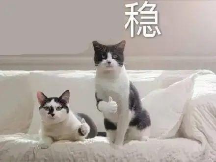 温度记|立足广东,放眼全国,这篇天气指南国庆居家旅行必备休闲区蓝鸢梦想 - Www.slyday.coM 温度记|立足广东,放眼全国,这篇天气指南国庆居家旅行必备休闲区蓝鸢梦想 - Www.slyday.coM