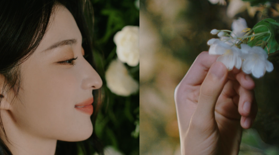 谁还没有个属于自己的浪漫花园?!休闲区蓝鸢梦想 - Www.slyday.coM 谁还没有个属于自己的浪漫花园?!休闲区蓝鸢梦想 - Www.slyday.coM