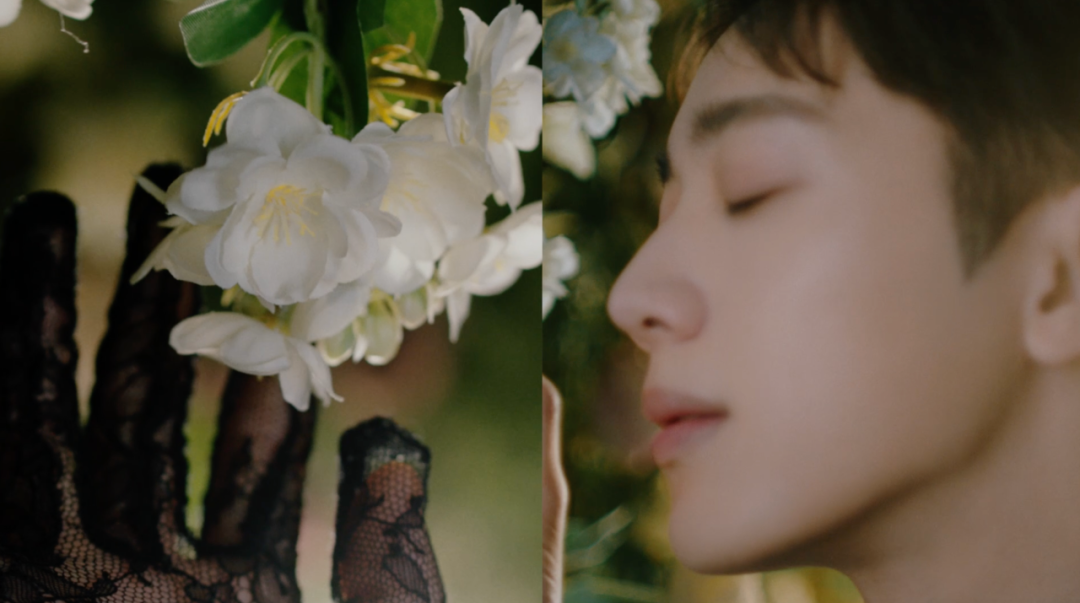 谁还没有个属于自己的浪漫花园?!休闲区蓝鸢梦想 - Www.slyday.coM 谁还没有个属于自己的浪漫花园?!休闲区蓝鸢梦想 - Www.slyday.coM