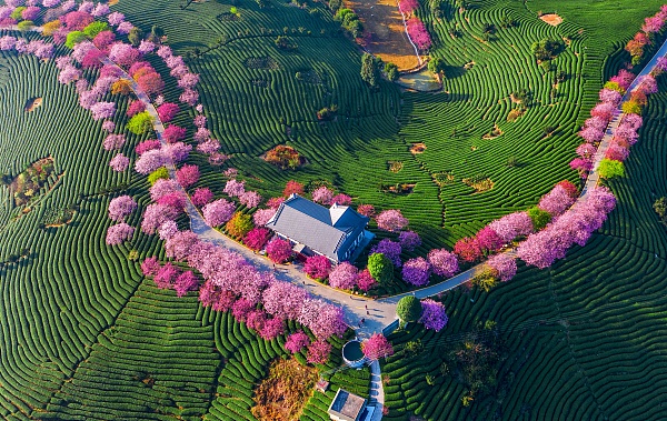 共庆祖国73周年华诞!致敬每一位不平凡的中国人休闲区蓝鸢梦想 - Www.slyday.coM 共庆祖国73周年华诞!致敬每一位不平凡的中国人休闲区蓝鸢梦想 - Www.slyday.coM