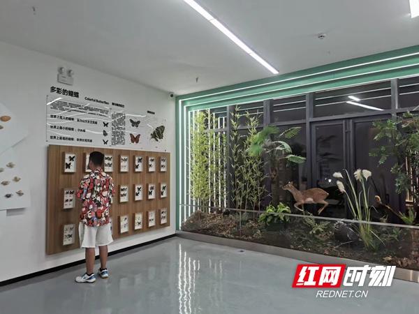 击剑、网球、攀岩、定向越野……邵阳这个新晋网红打卡基地也太炫酷了吧休闲区蓝鸢梦想 - Www.slyday.coM 击剑、网球、攀岩、定向越野……邵阳这个新晋网红打卡基地也太炫酷了吧休闲区蓝鸢梦想 - Www.slyday.coM