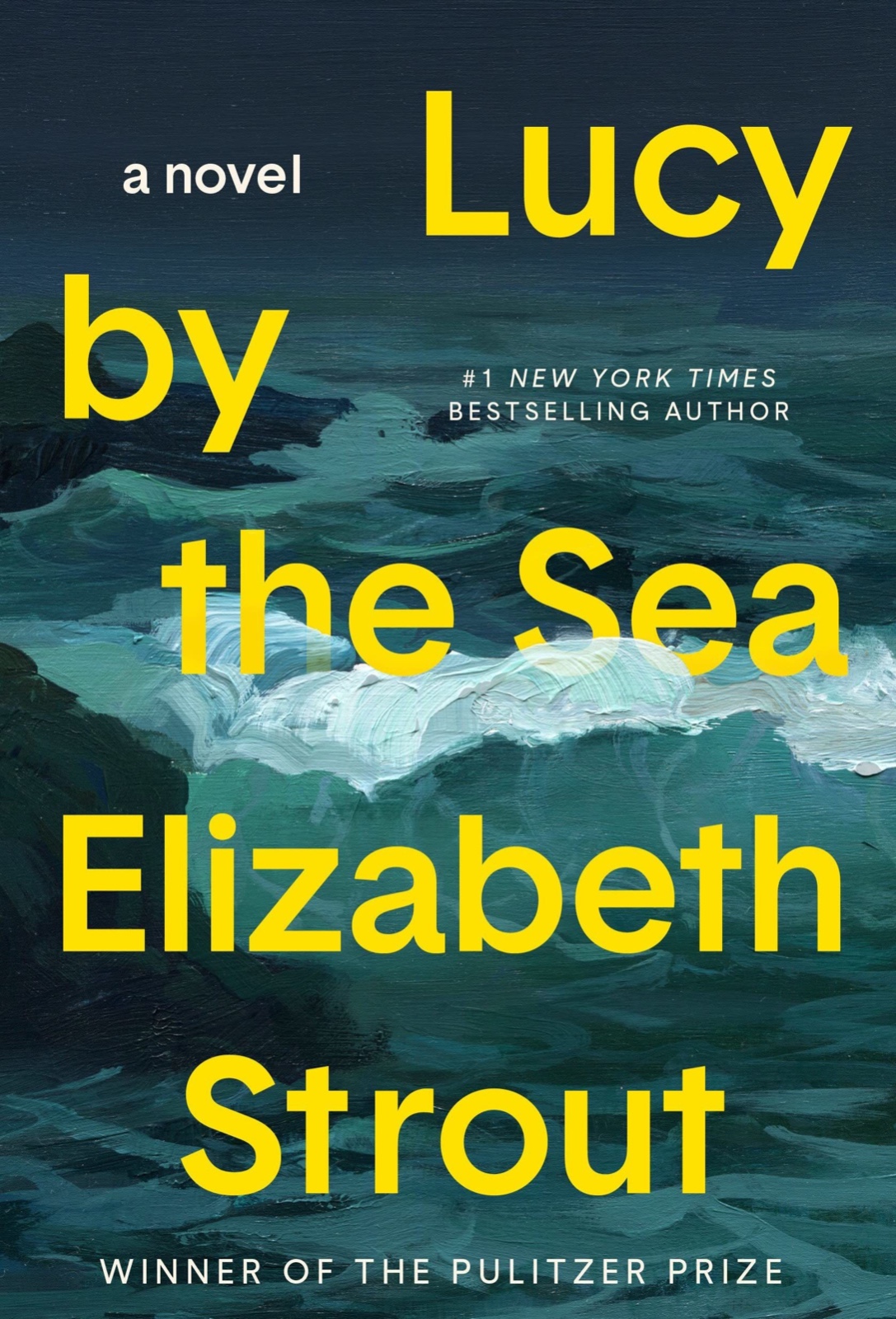 虚构类《海边的露西》（lucy by the sea）作者：elizabeth strout出版社：