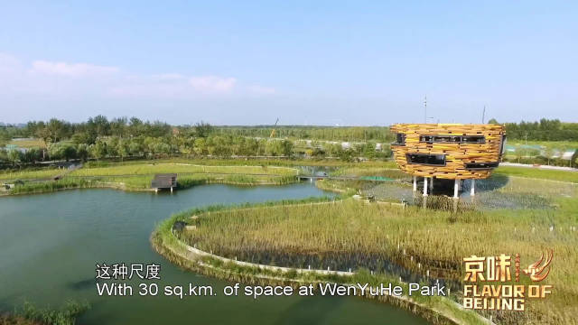 位于朝阳、顺义、昌平三区交界的北京温榆河公园……|北京市_新浪新闻