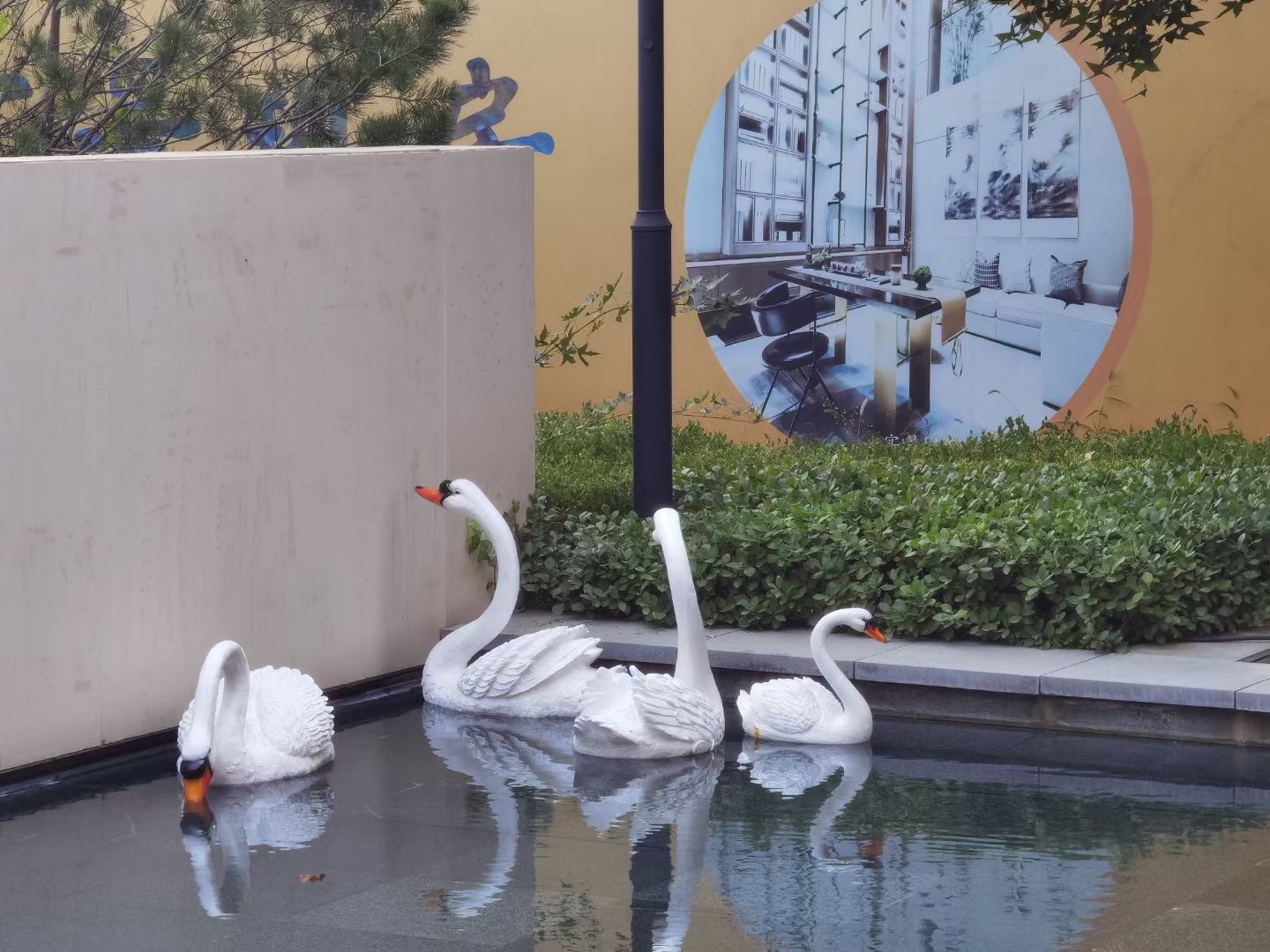 南海子天鹅有多美?这个艺术展的200多张照片给您答案休闲区蓝鸢梦想 - Www.slyday.coM 南海子天鹅有多美?这个艺术展的200多张照片给您答案休闲区蓝鸢梦想 - Www.slyday.coM