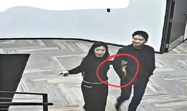 章泽天原谅刘强东,一句“人生总有风雨,时间永远向前”,大格局休闲区蓝鸢梦想 - Www.slyday.coM 章泽天原谅刘强东,一句“人生总有风雨,时间永远向前”,大格局休闲区蓝鸢梦想 - Www.slyday.coM